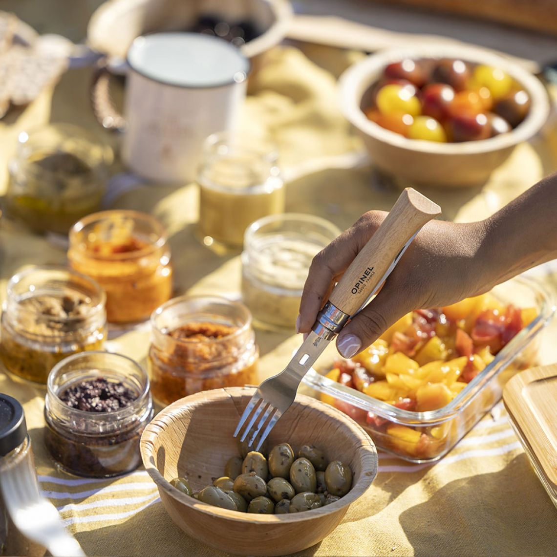 Conjunto de Picnic Opinel completo