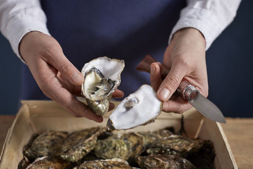 Cuchillo para ostras Opinel N°9 mango palo rojo