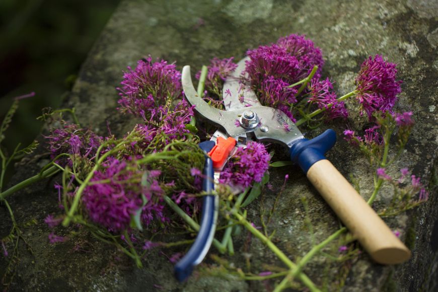 Tijeras Opinel para podar azul