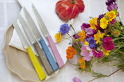 Cuchillos Opinel N°125 Mesa countryside - 4 unidades