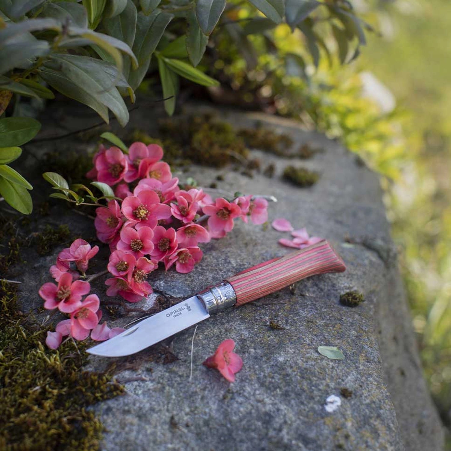 Cuchillo Opinel N°8 abedul rojo