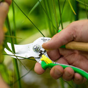 Tijeras Opinel para podar verde