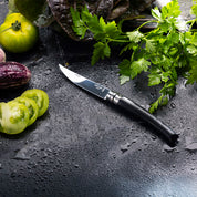 Cuchillo Opinel N°10 Slim mango de ebano