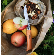 Cuchillo Opinel N°9 acero carbono