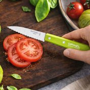 Cuchillo Opinel N°113 dentado verde limon