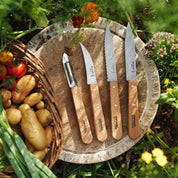 Cuchillos Opinel N°112 Los esenciales - 4 unidades