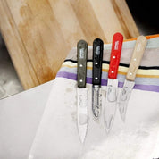 Cuchillos Opinel N°112 Los esenciales Loft - 4 unidades