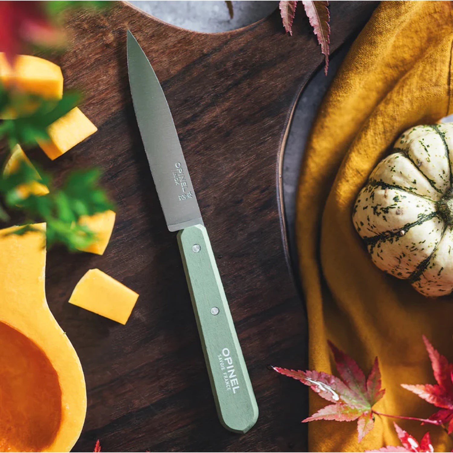Cuchillo pelador N°112 Opinel Salvia