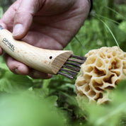 Cuchillo Opinel para cosechar setas