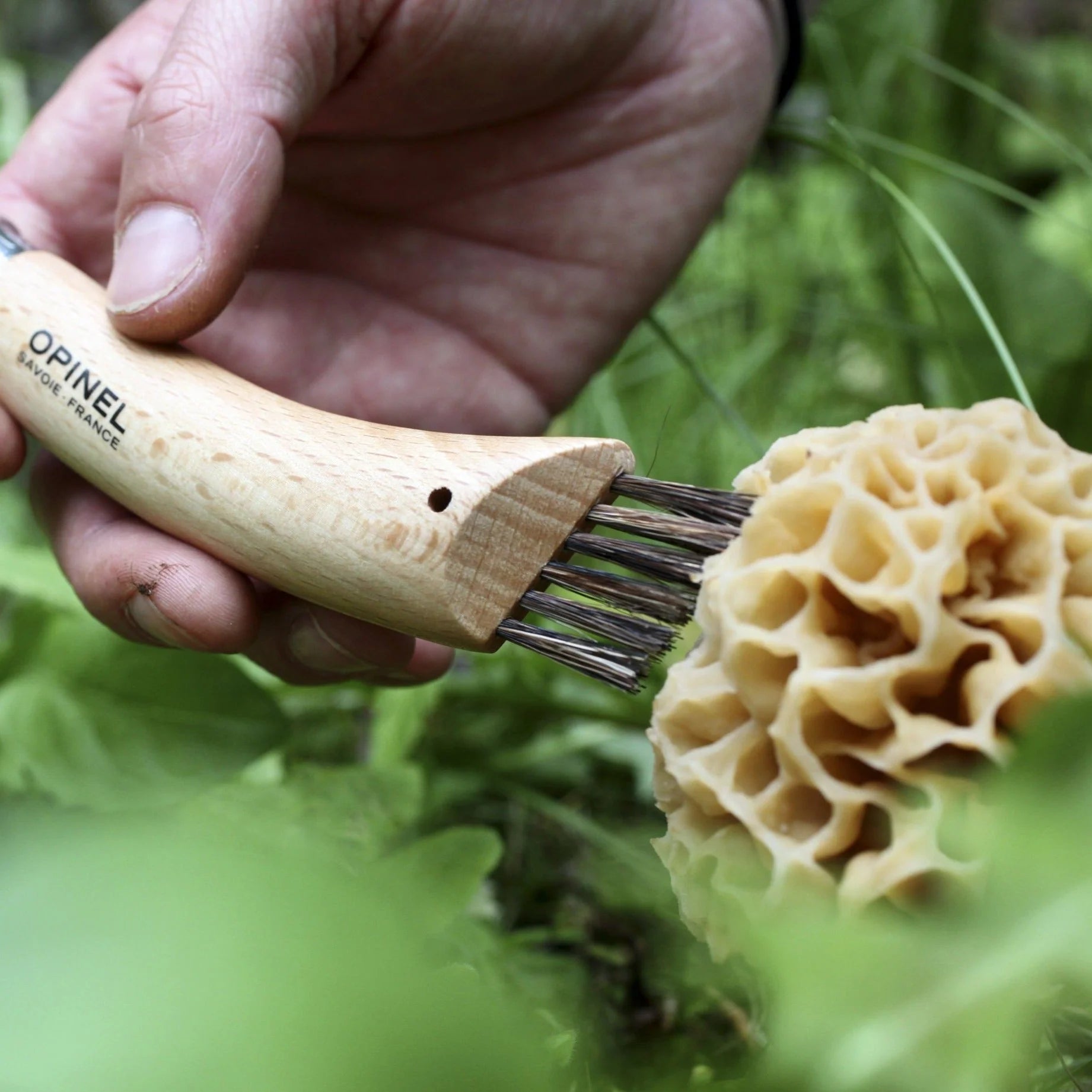 Cuchillo Opinel para cosechar setas